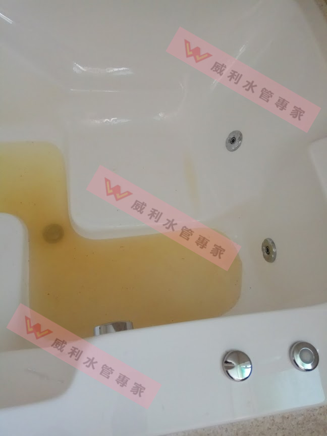 豐邑新成屋