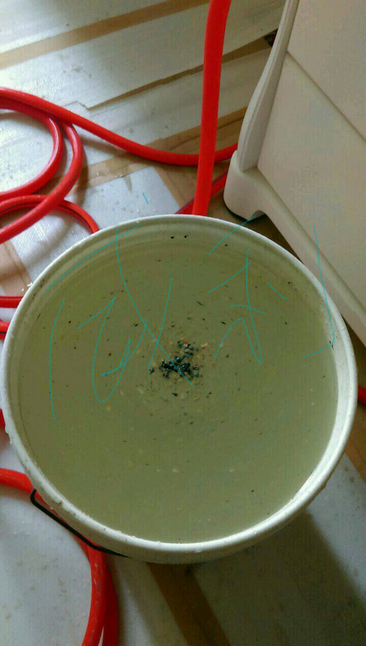 龍寶謙臻邸