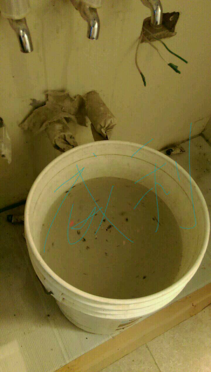 龍寶謙臻邸
