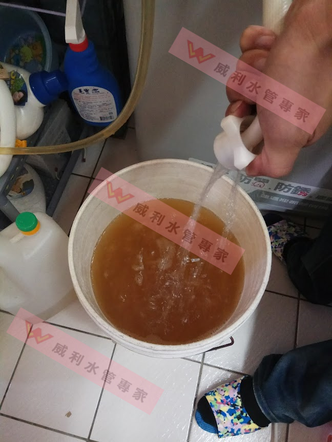 壹電視王又冉主播