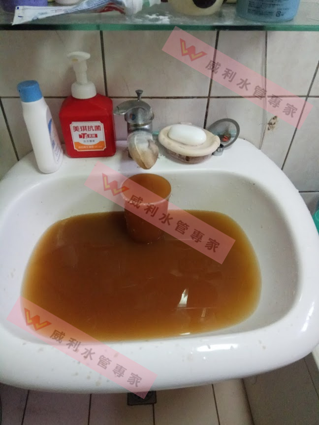 壹電視林莉婷主播