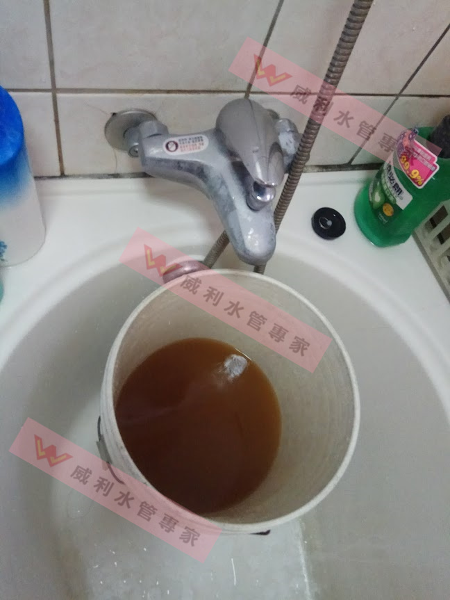 壹電視林莉婷主播