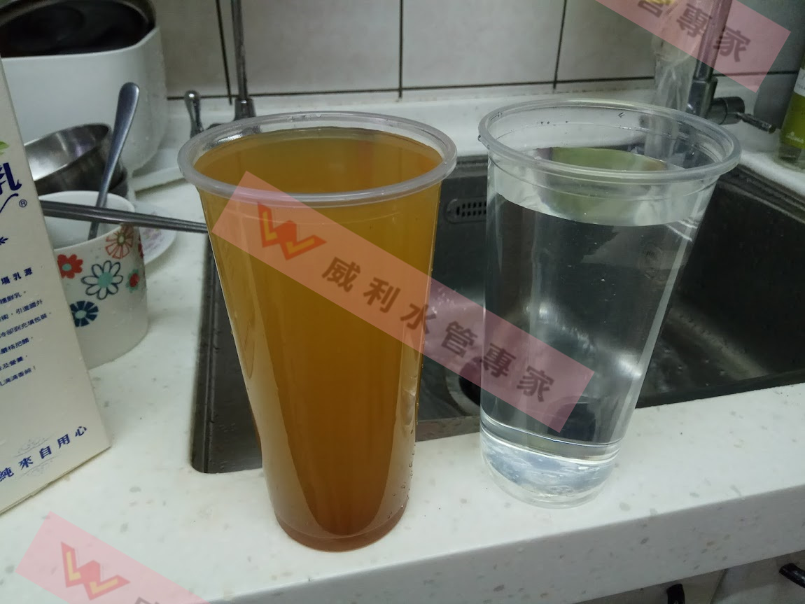 壹電視林莉婷主播
